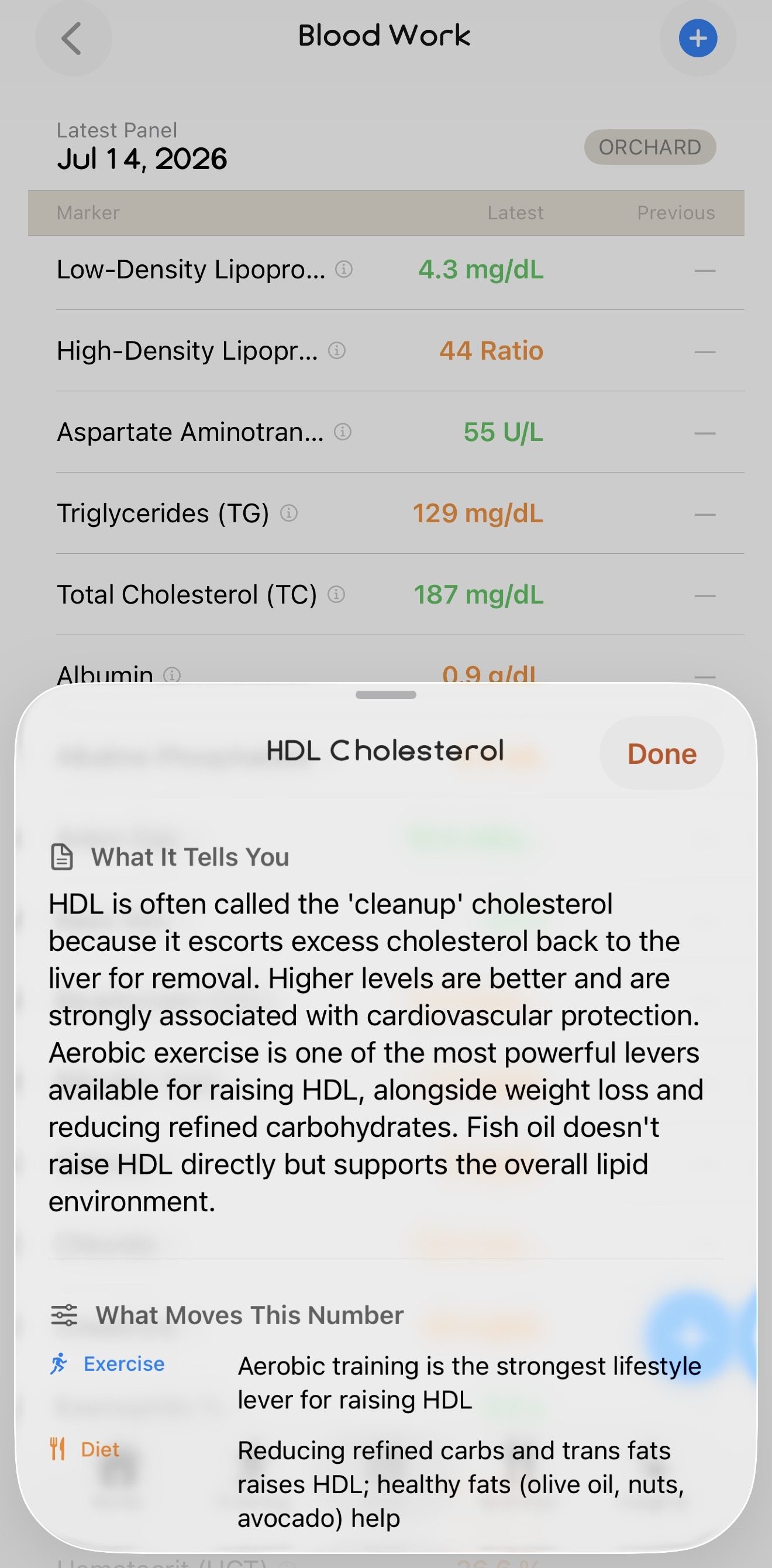 An HDL Cholesterol detail: what it tells you, and what moves the number through exercise and diet